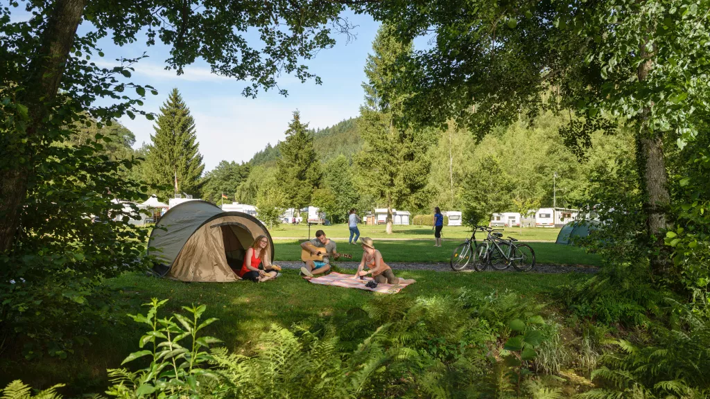 Waldfischbach Clausensee,  Wohnmobilstellplätze und Campingplätze