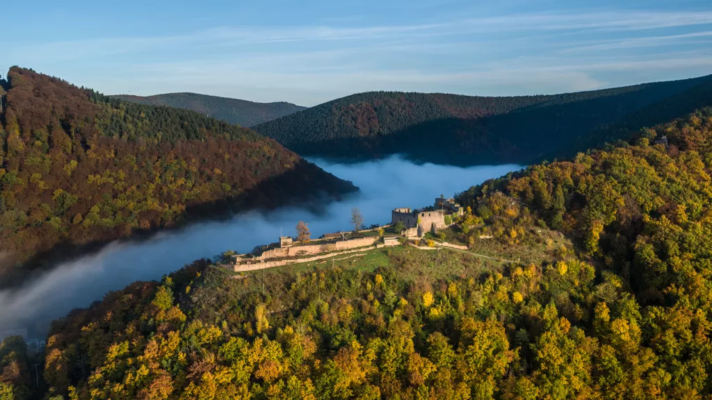 Die Wolfsburgruine Neustadt