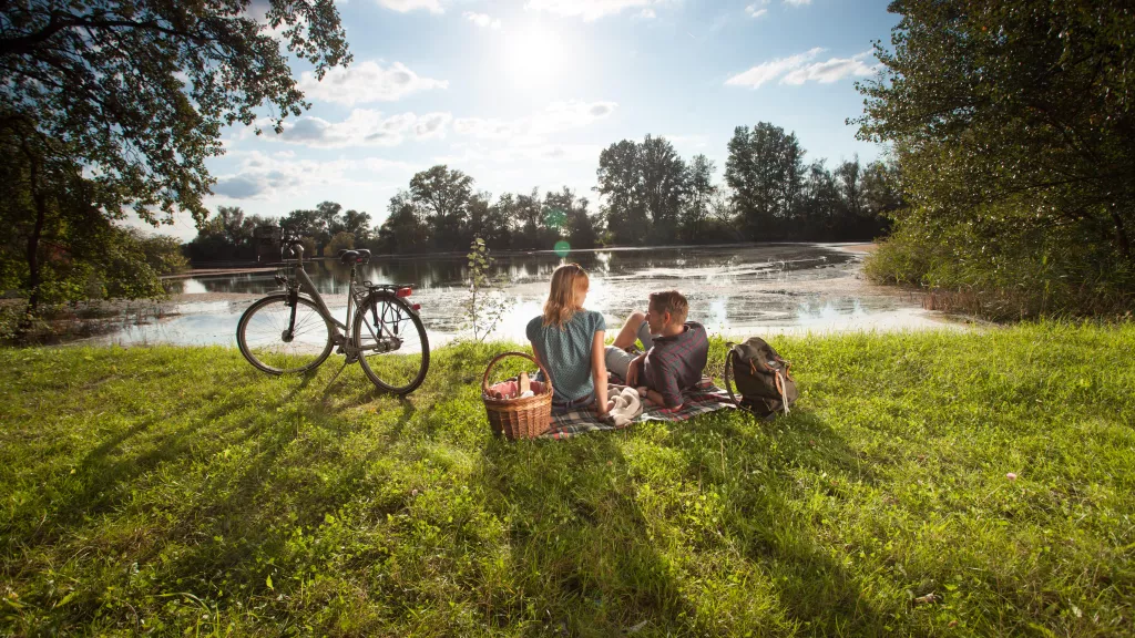 Flussradwege in der Pfalz, Rheinauen in der Südpfalz