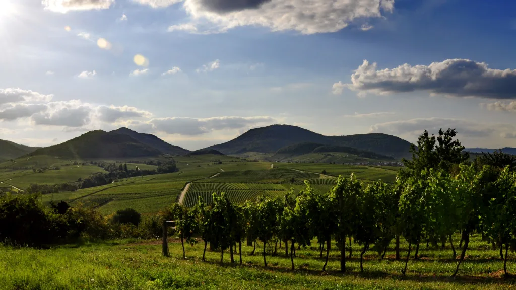 Die Deutsche Weinstraße mit dem Haardtgebirge