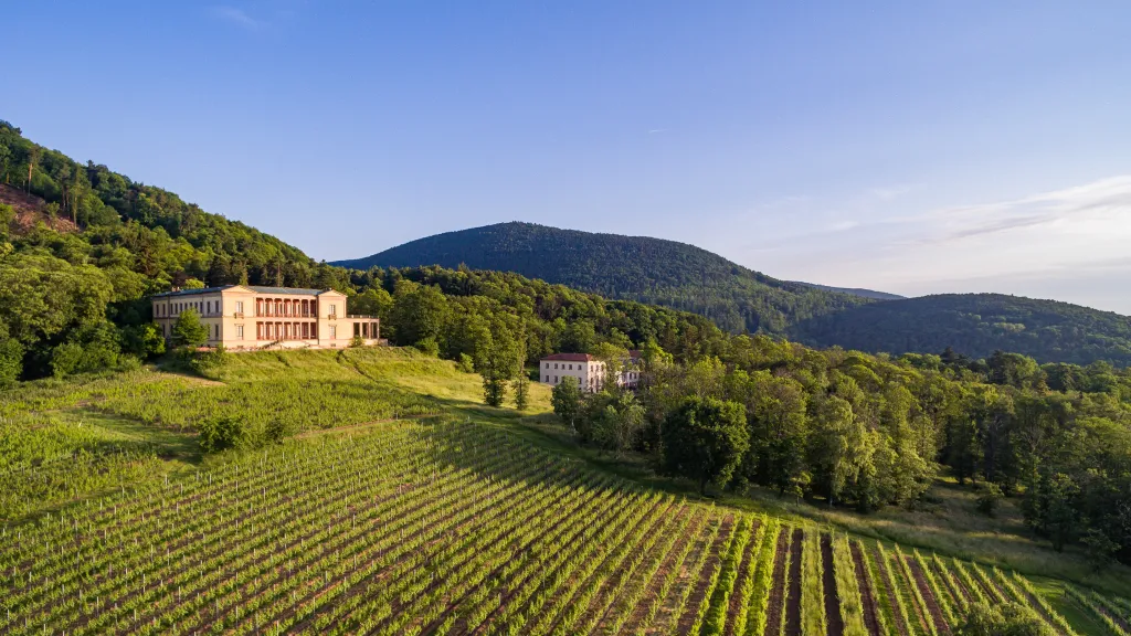 Villa Ludwigshöhe 