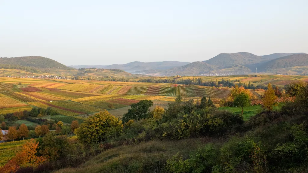 herbstlicher Blick von der Kleinen Kalmit