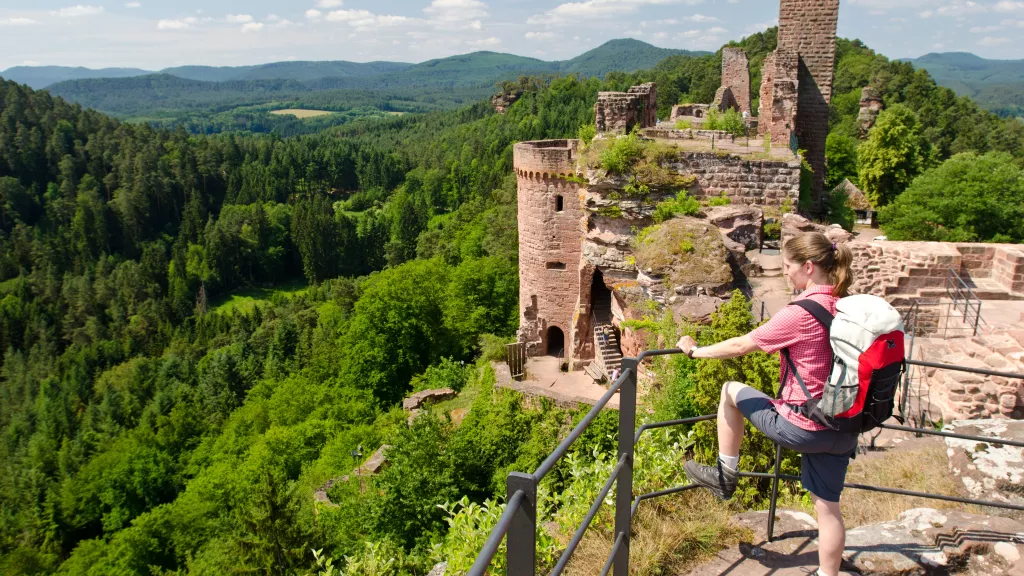 Ausblick von der Burg Altdahn