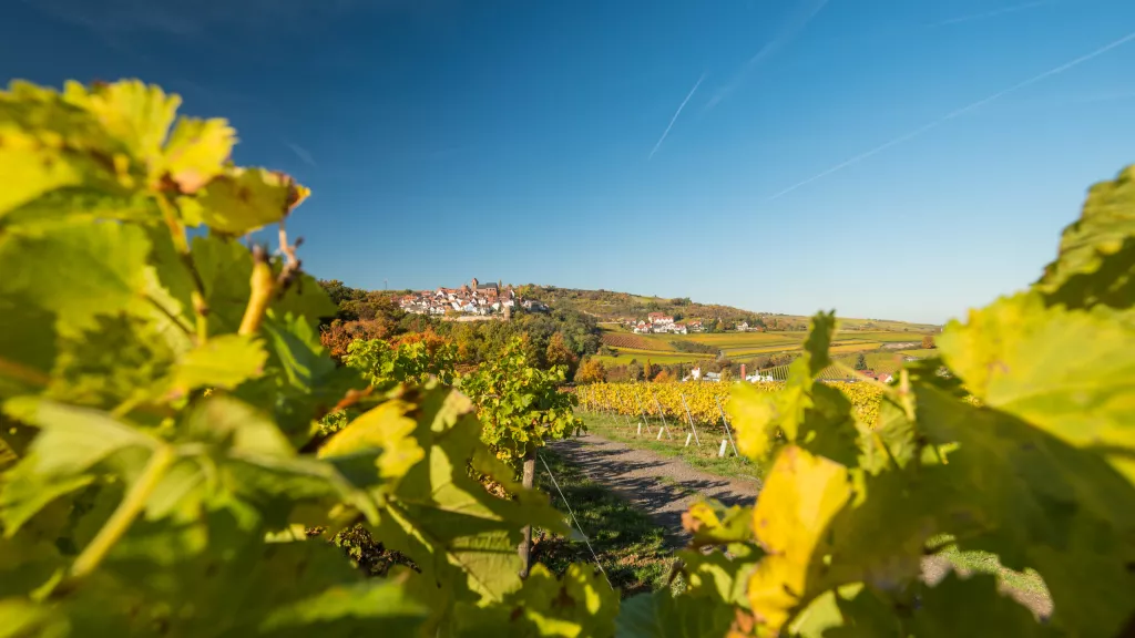 Leininger Burgenweg, Neuleiningen