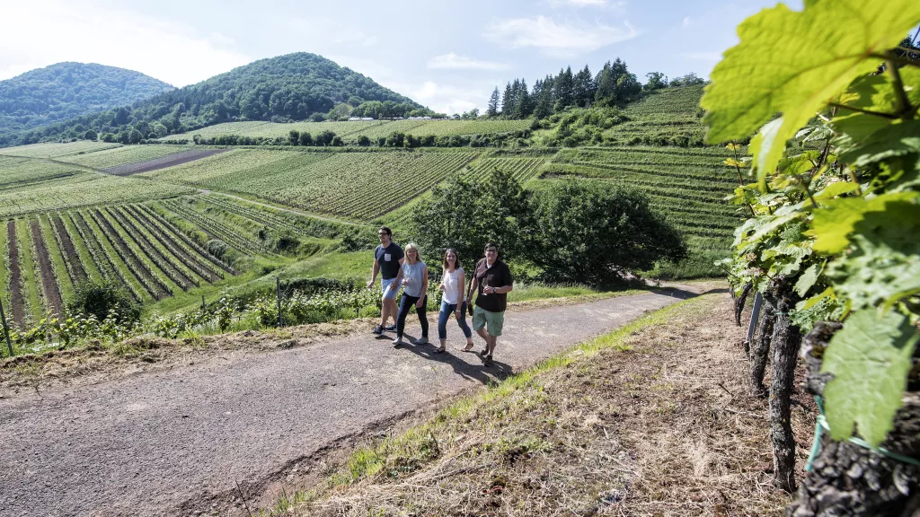 Wandern an der Südlichen Weinstraße