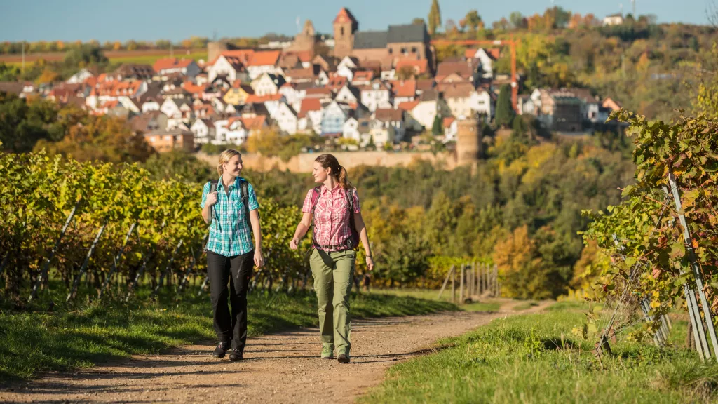 Leininger Burgenweg bei Neuleiningen