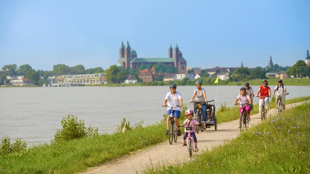 Radfahren auf dem Rheinradweg bei Speyer