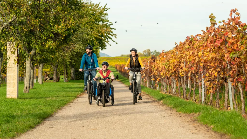 Biblischer Weinlehrpfad Kirrweiler