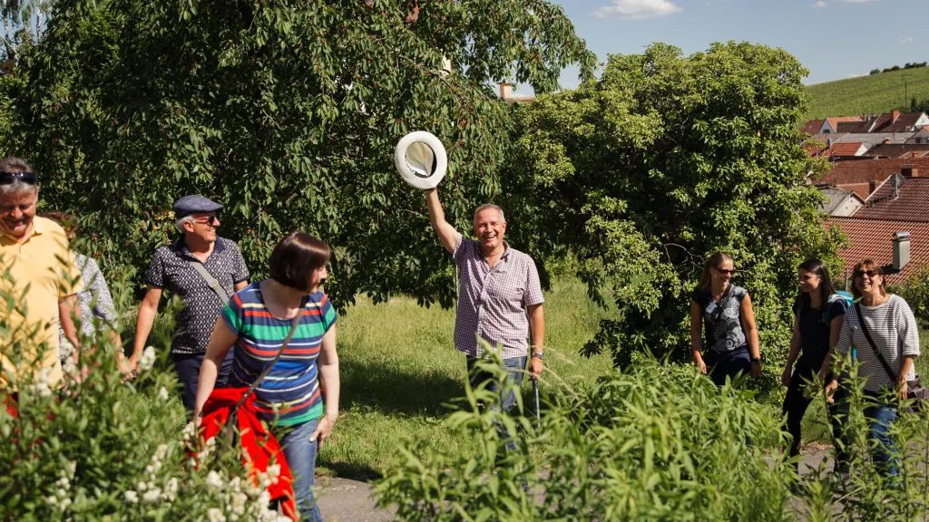 Teilnehmer der Genusstour Leinsweiler beim Anstieg