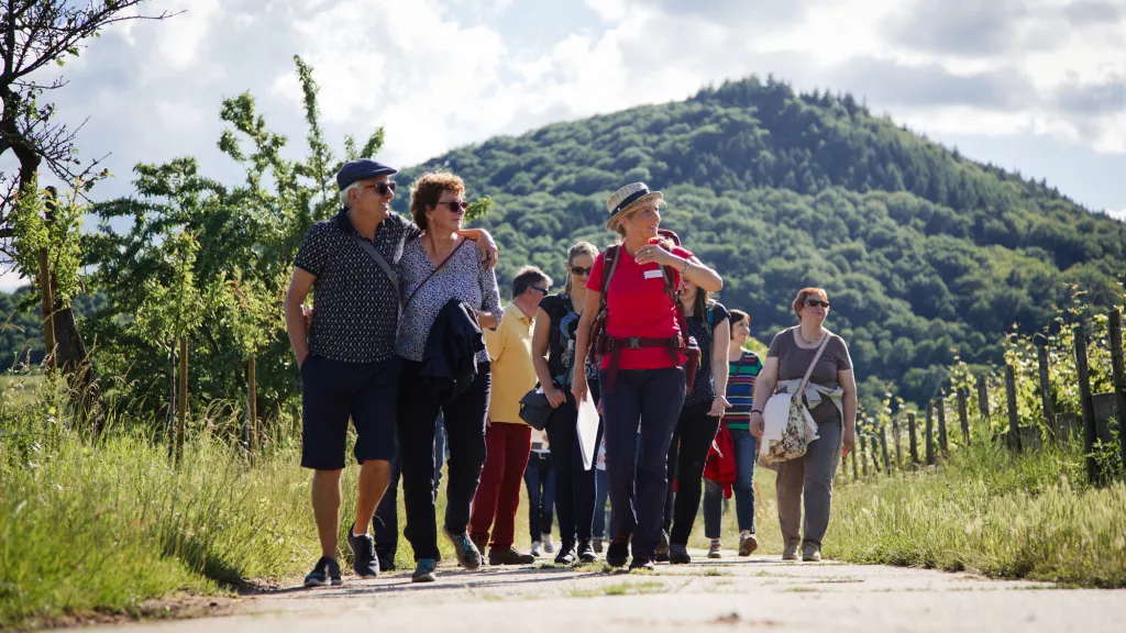 Genusstour Leinsweiler durch die Weinberge