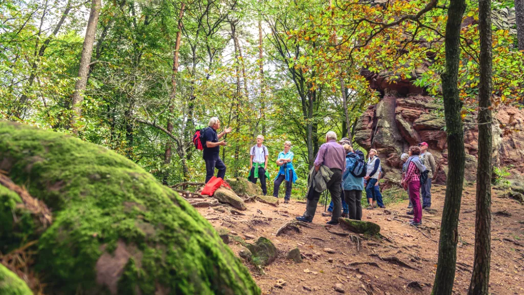 Pause bei Kastanienwanderung nahe Hauenstein