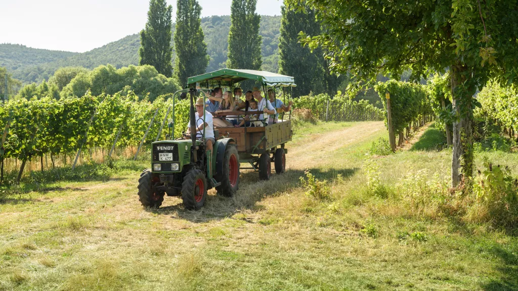 Planwagenfahrt in der Pfalz