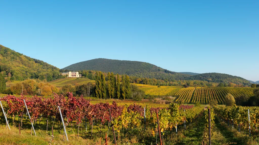 Der Blick auf die Villa Ludwigshöhe in Edenkoben