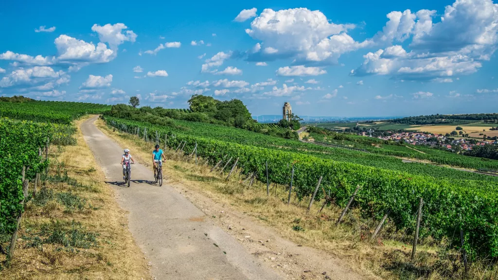 Genussradeln auf dem Zellertal-Radweg