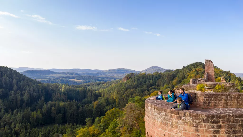 Burg Altdahn