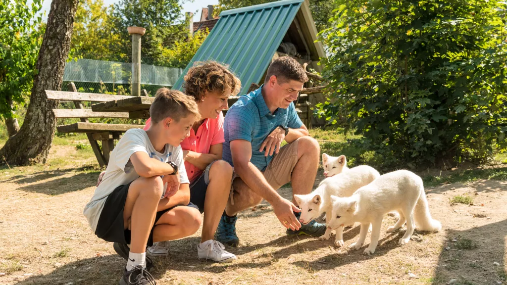 Wildpark Potzberg