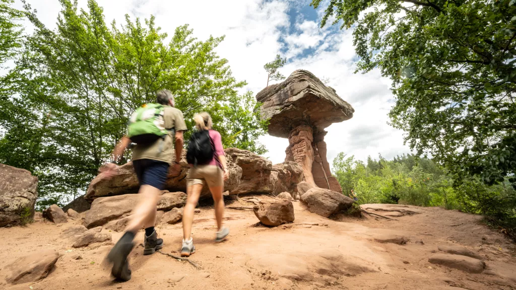 Wandern im Biosphärenreservat Pfälzerwald