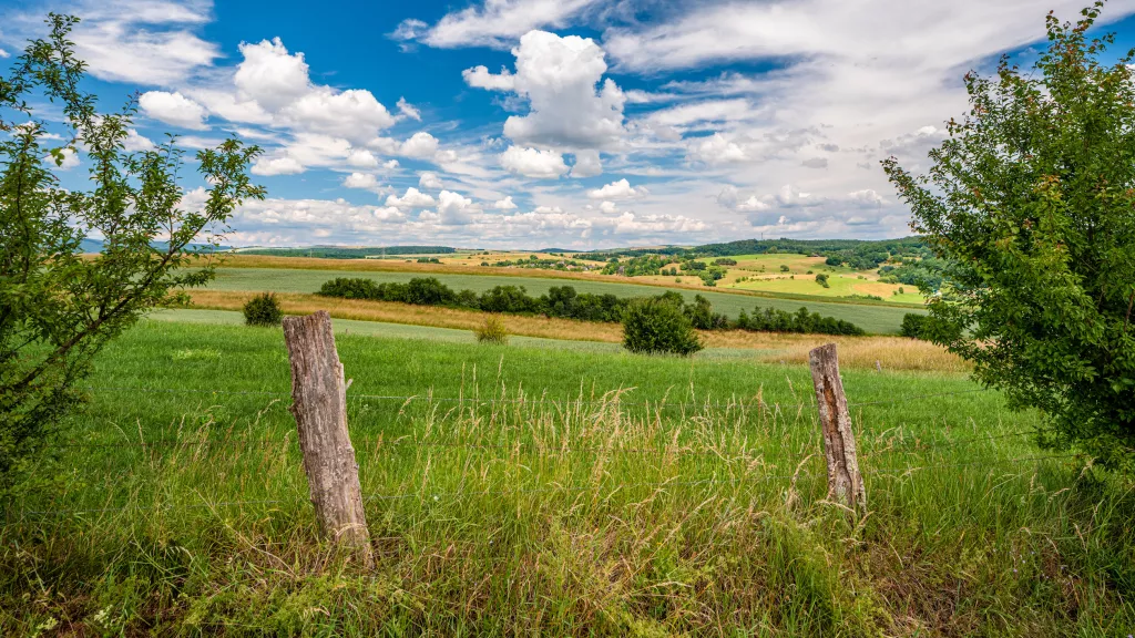 Blick über das Pfälzer Bergland