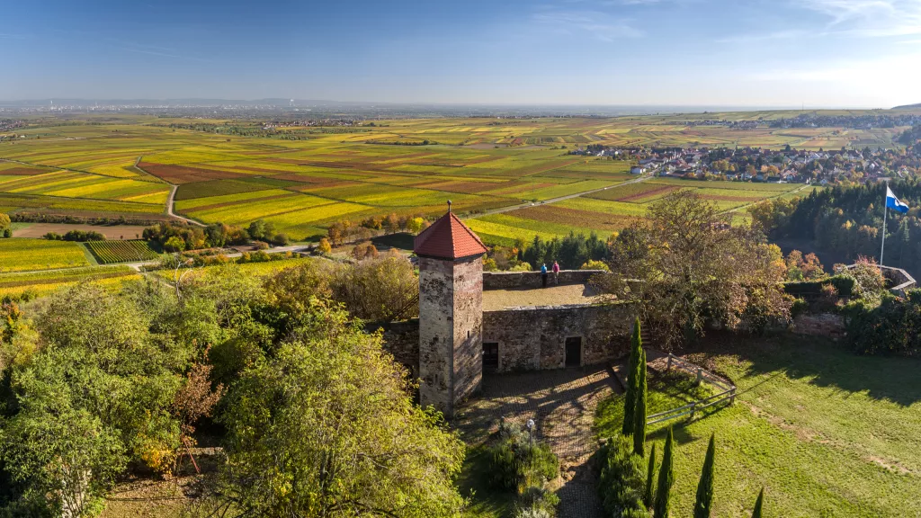 Wanderer auf der Burg Battenberg mit grandiosem Ausblick über die herbstlichen Weinberge