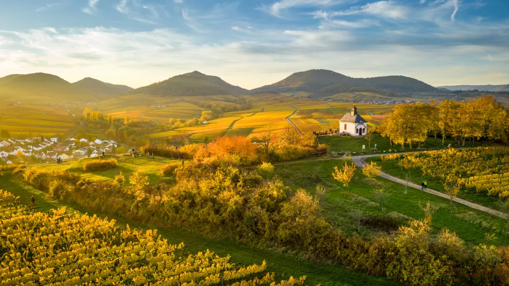 Kleine Kalmit bei Ilbesheim