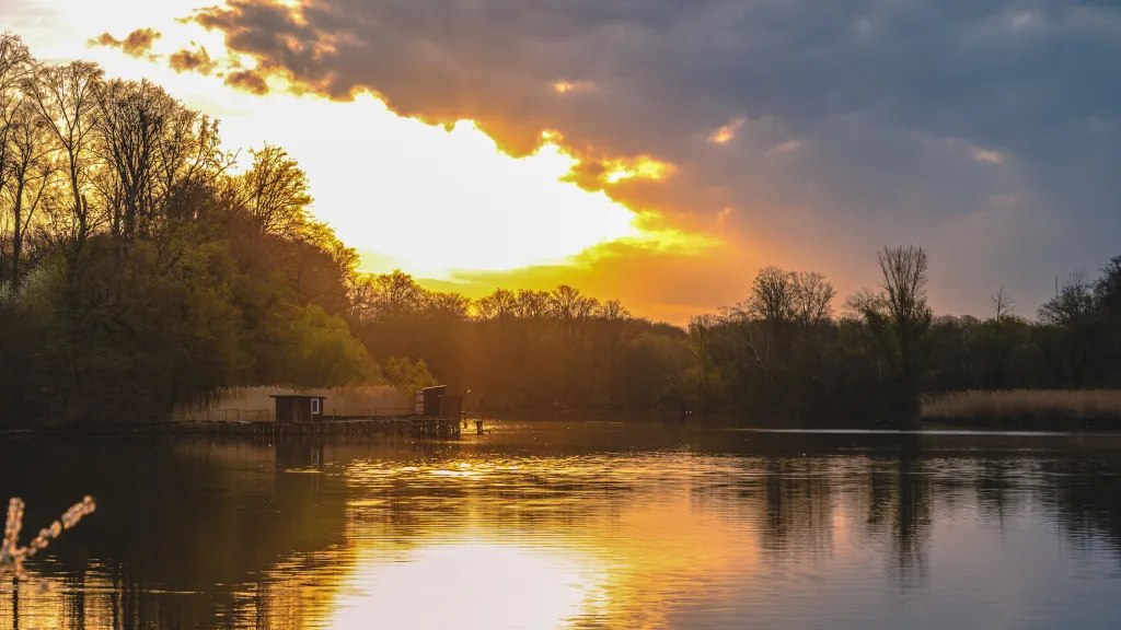 Altrhein bei Jockgrim im Winter