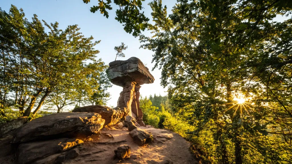 Teufelstisch Felsformation im Pfälzerwald