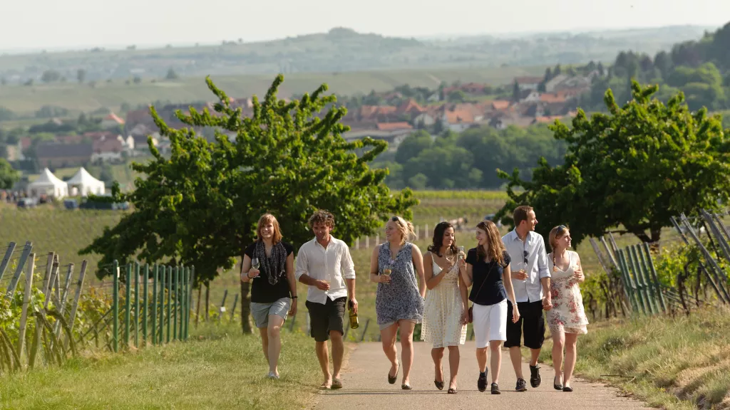 Weinbergswanderung