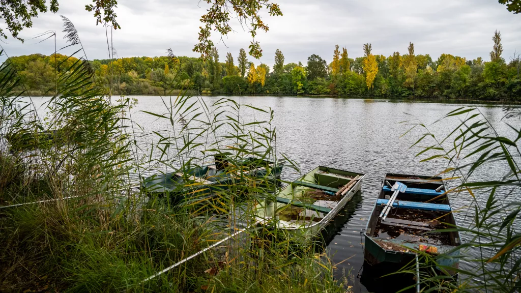 Boote bei Altrip 