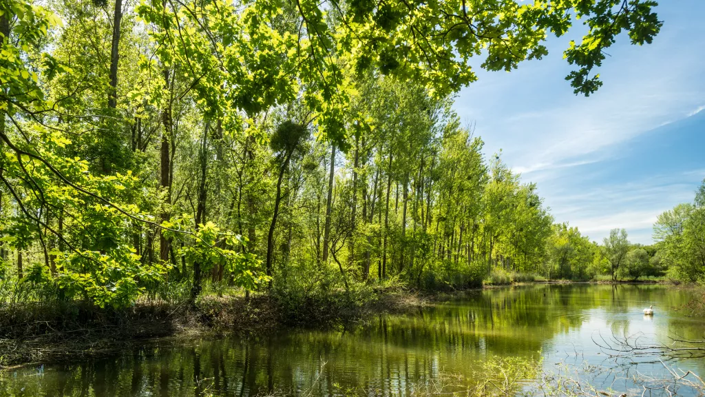 Unterwegs am Wasser in der Rheinebene