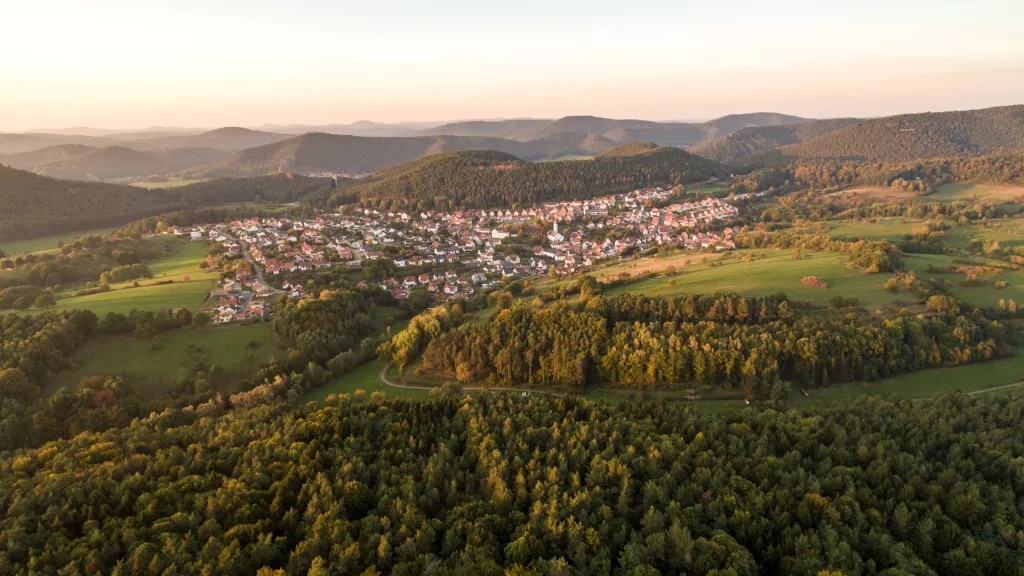 Blick auf den Pfälzerwald