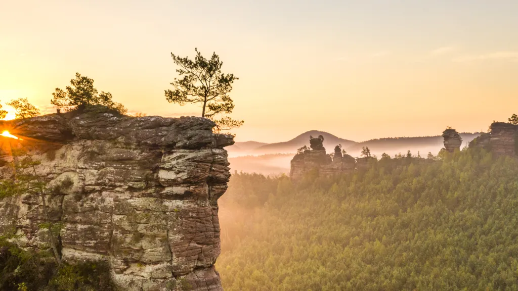 Goldener Sonnenaufgang im Dahner Felsenland
