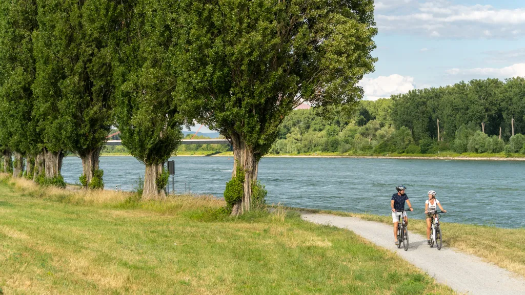 Radfahren am Rhein bei Speyer