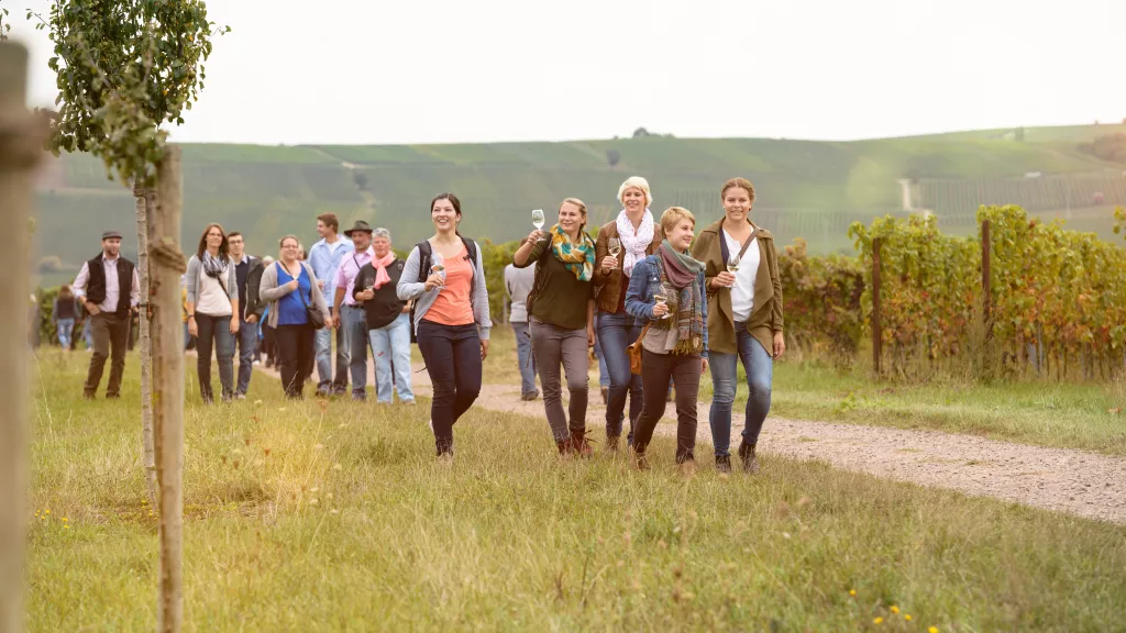 Weinwanderung 