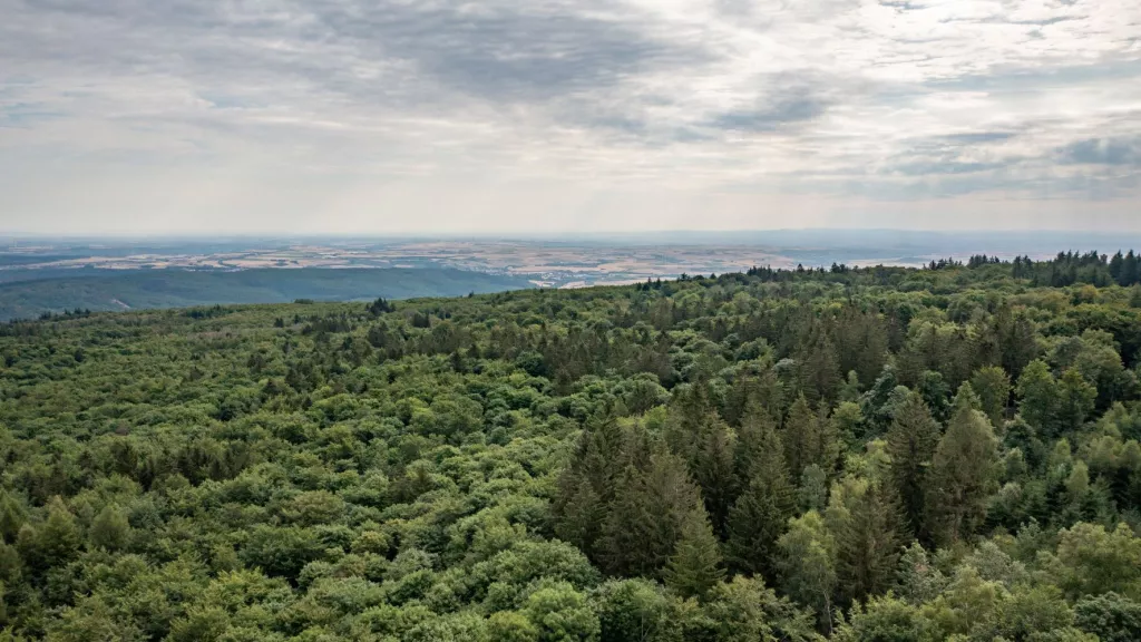 Drohnenansicht Donnersberg, dem höchsten Berg der Pfalz