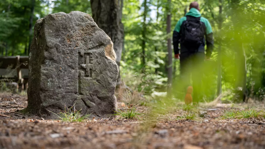 Natürliche Stille im Pfälzerwald