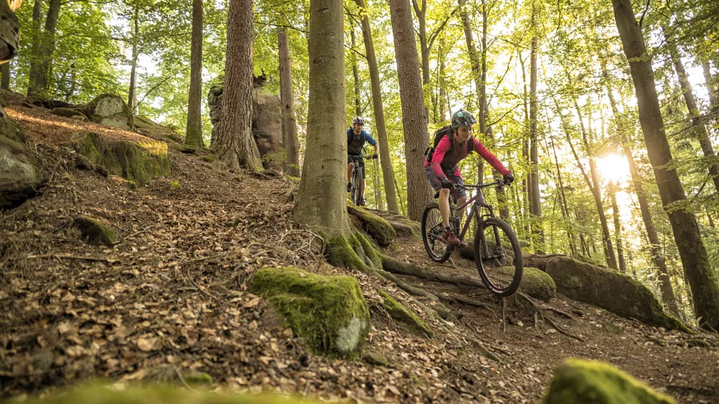 Auf Tour im Mountainbikepark