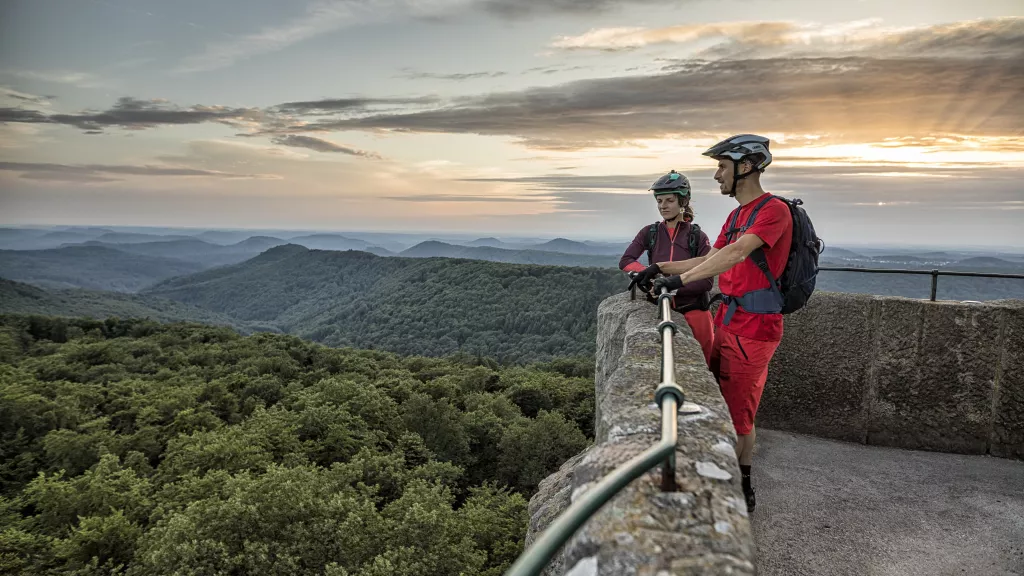 Mit dem MTB zu den schönsten Aussichten im Pfälzerwald