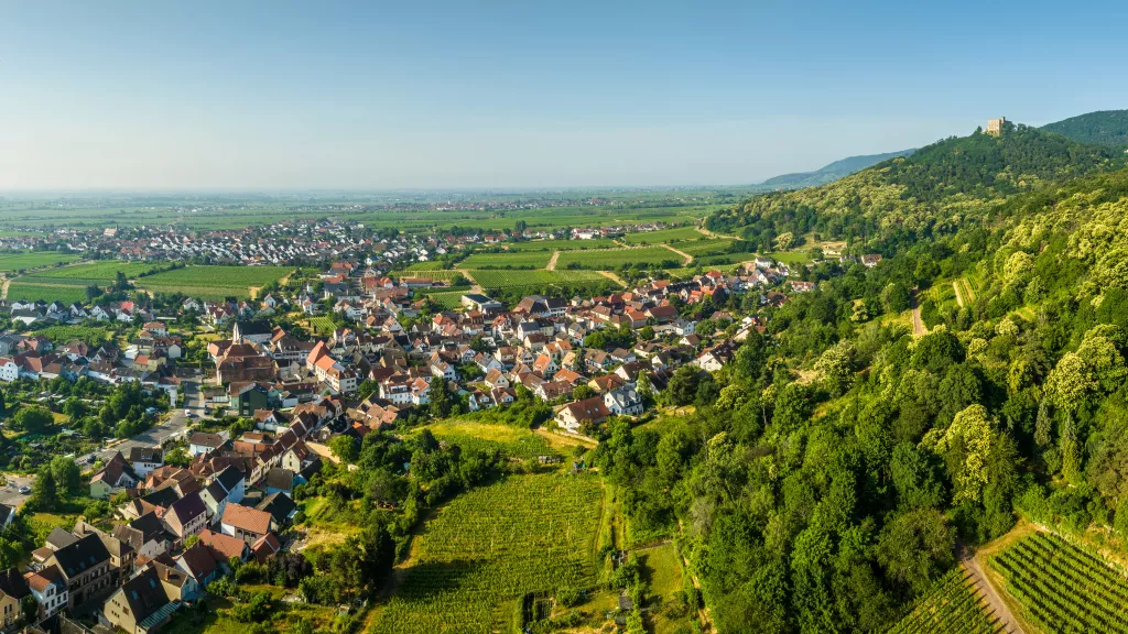 Stellplätze direkt am Weingut