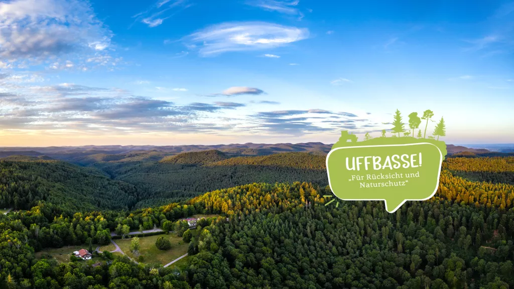 Blick über den Pfälzerwald beim Forsthaus Taubensuhl