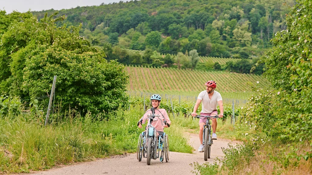 Unterwegs auf der Reben und Rüben Runde