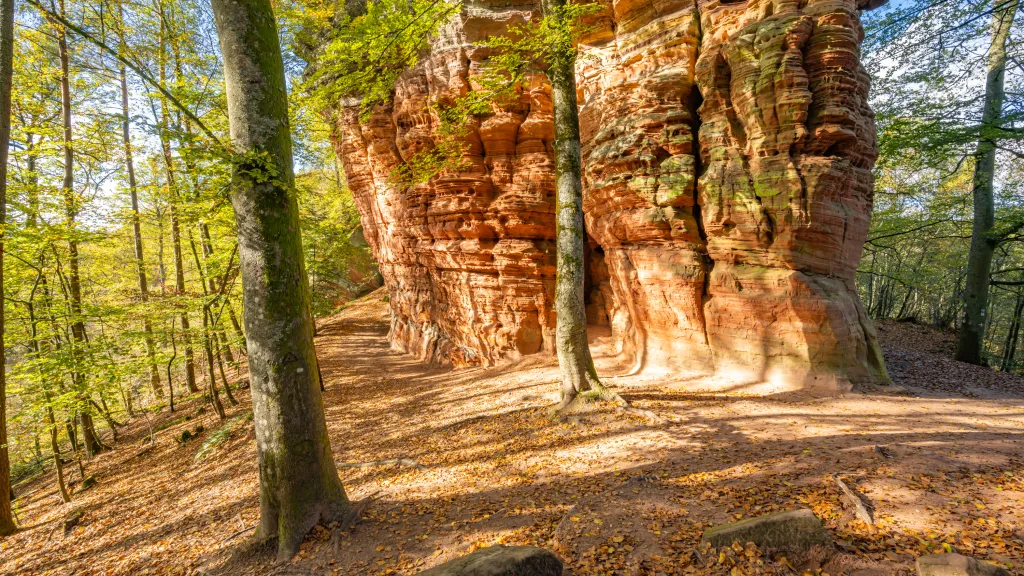 Sandsteinformationen im Pfälzerwald.