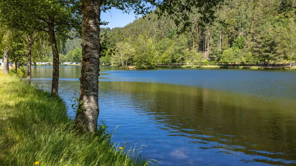 Waldfischbach Burgalben