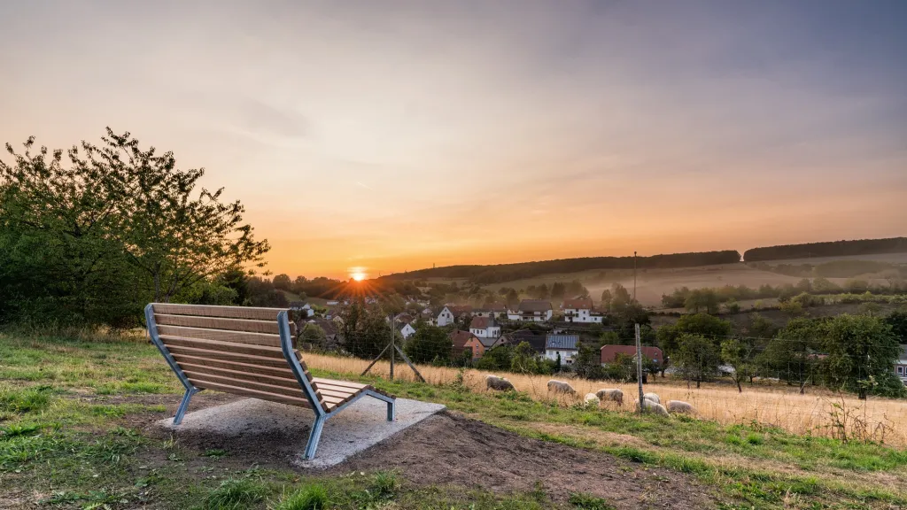 Eine Holzbank auf einem Wanderpfad bei Weilerbach. 