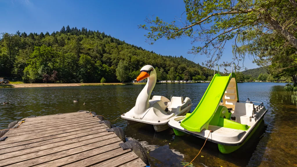 Schwimmen und Paddeln auf dem Clausensee in Waldfischbach-Burgalben