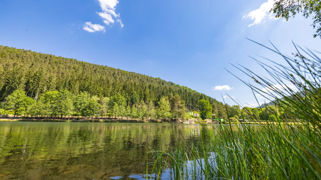 Clausensee in Waldfischbach-Burgalben