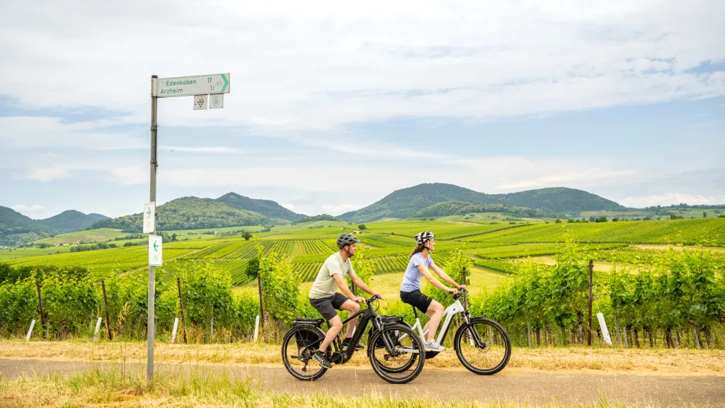 Unterwegs per Rad im Weinland Pfalz