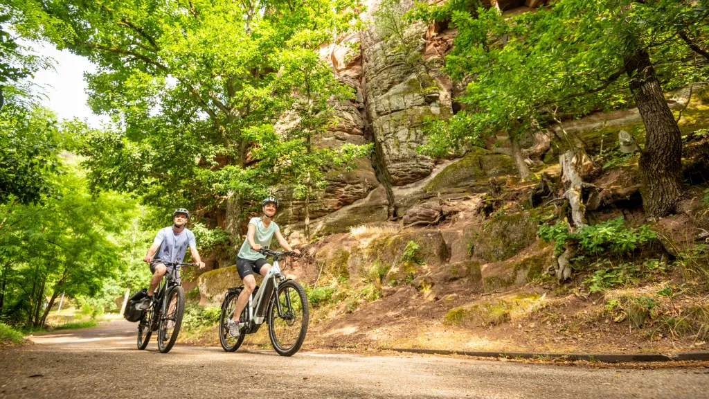 Buntsandstein am Radweg im Pfälzerwald
