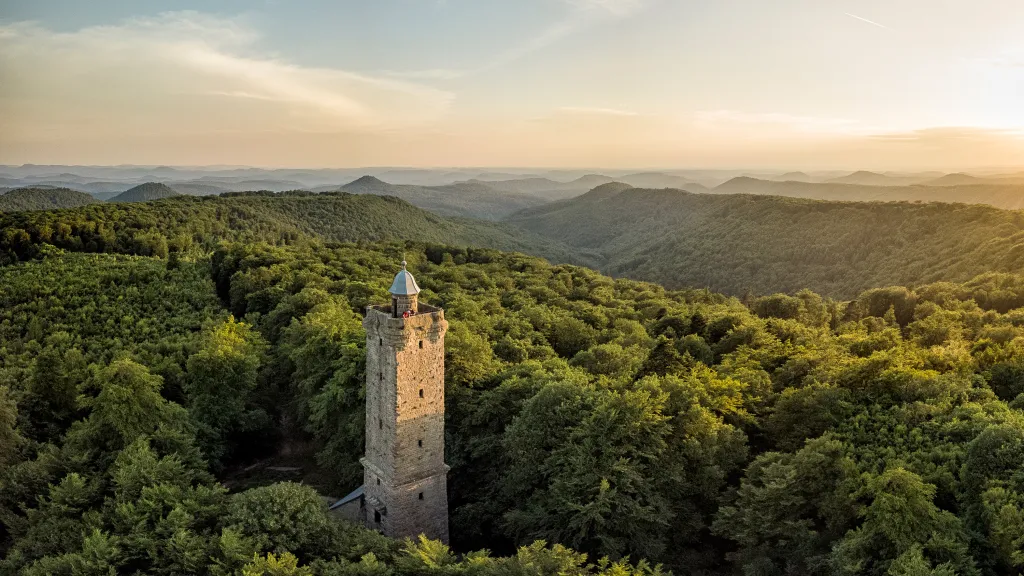 Luitpoldturm mitten im Pfälzerwald