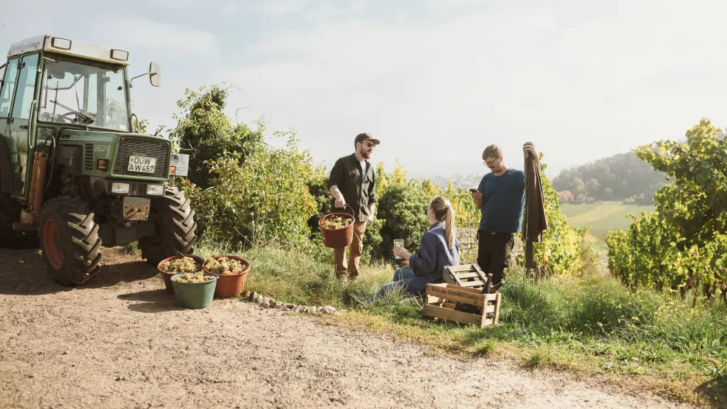 Die Pfalz. Auf der EUROVINO