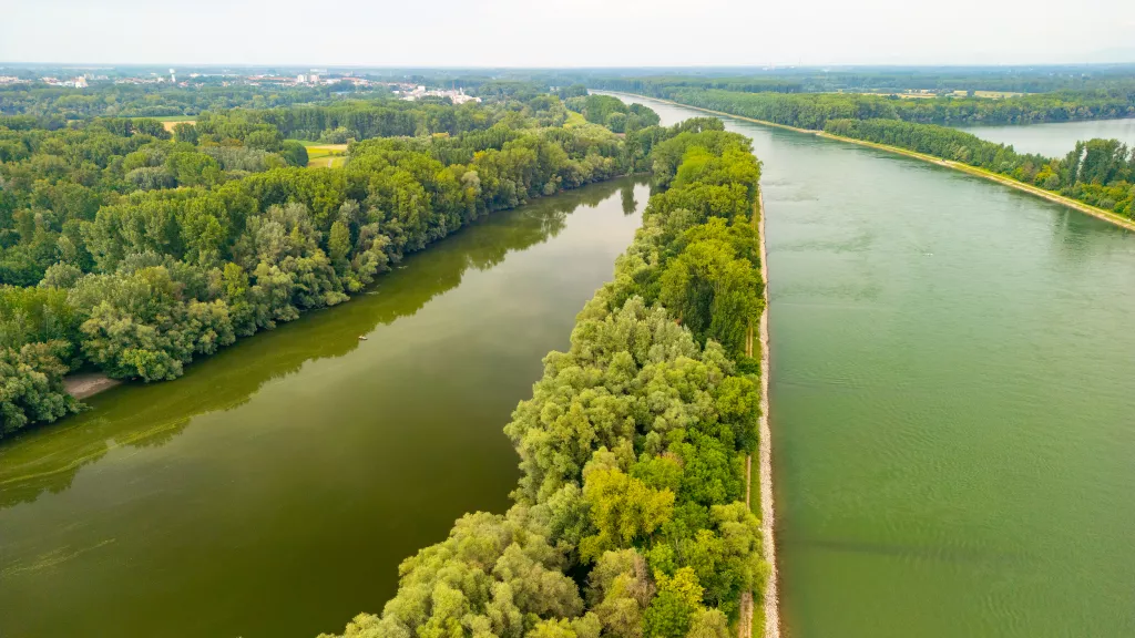 Altrhein und Rhein direkt nebeneinander von oben